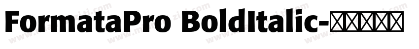 FormataPro BoldItalic字体转换